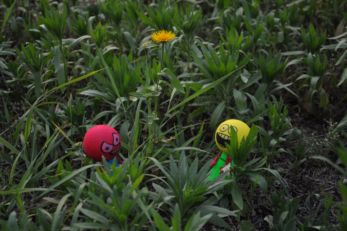 Встреча Почти добра с Добром !!! - Slava Smile Встреча Почти добра с Добром !!! - Slava Smile