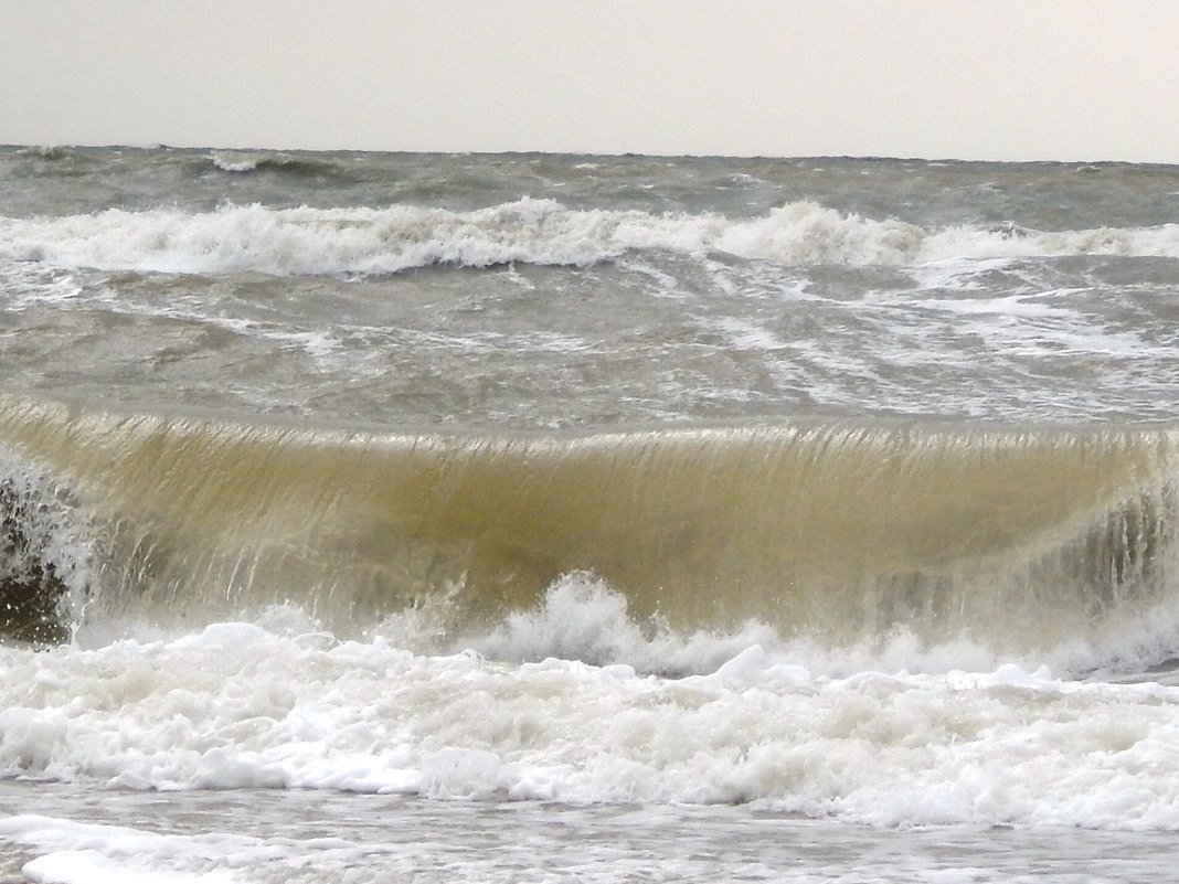 Водоворот - Дарья Неживая