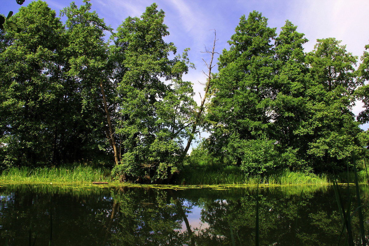 Берег реки.. - Юрий Стародубцев