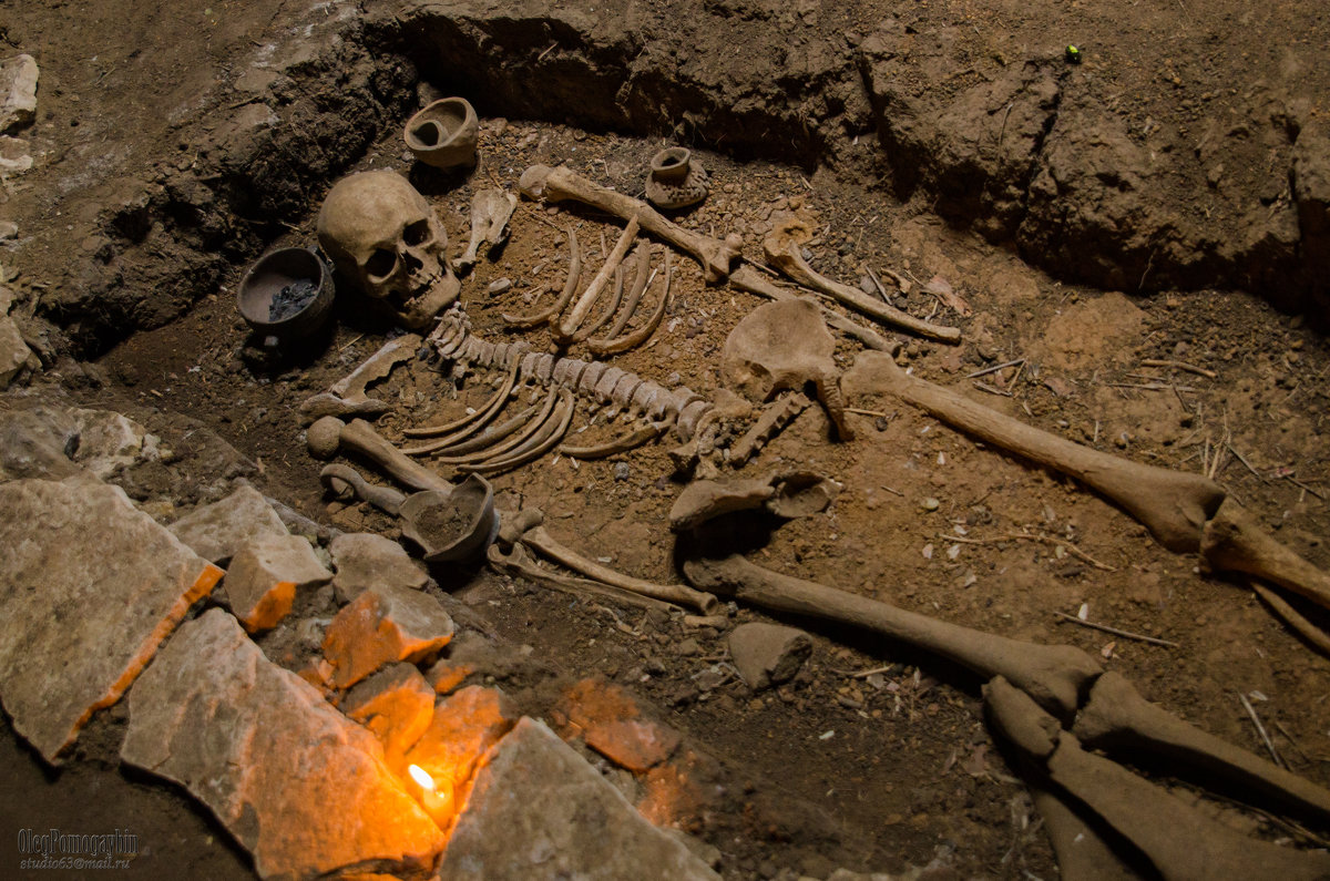 Дама с солидным жизненным опытом. (~5000 лет) - Олег Помогайбин