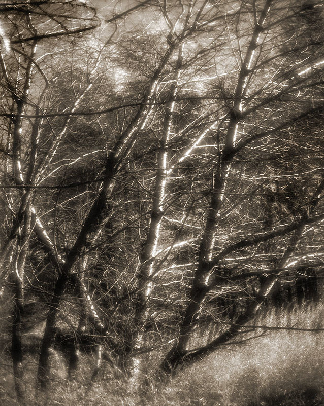 Парк монокль - Nn semonov_nn