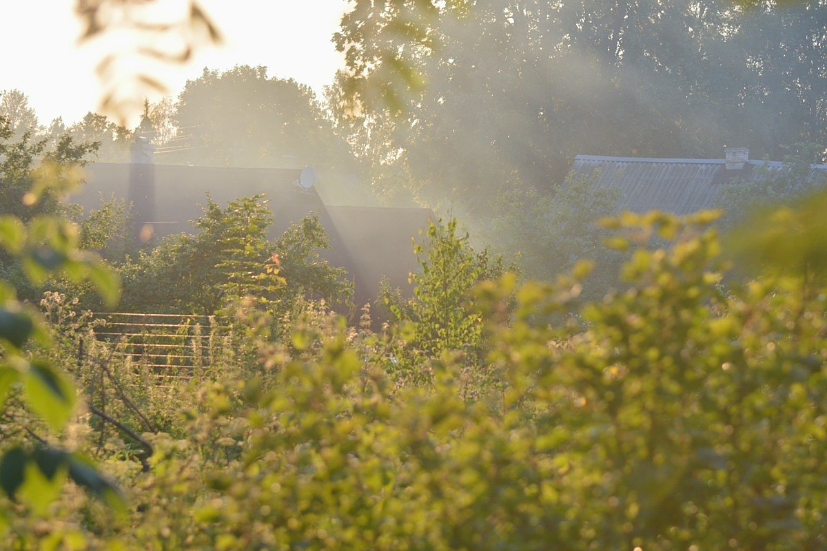 *** - Владимир Фомин *** - Владимир Фомин