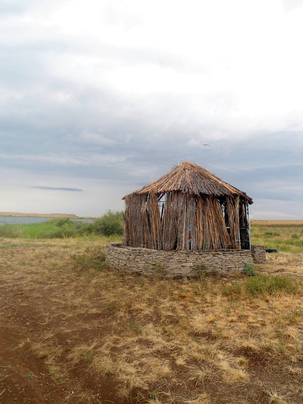 прелести дикой природы - Марина Борисова