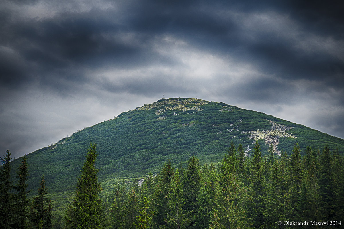 Гора Хом'як - Олександр Масний