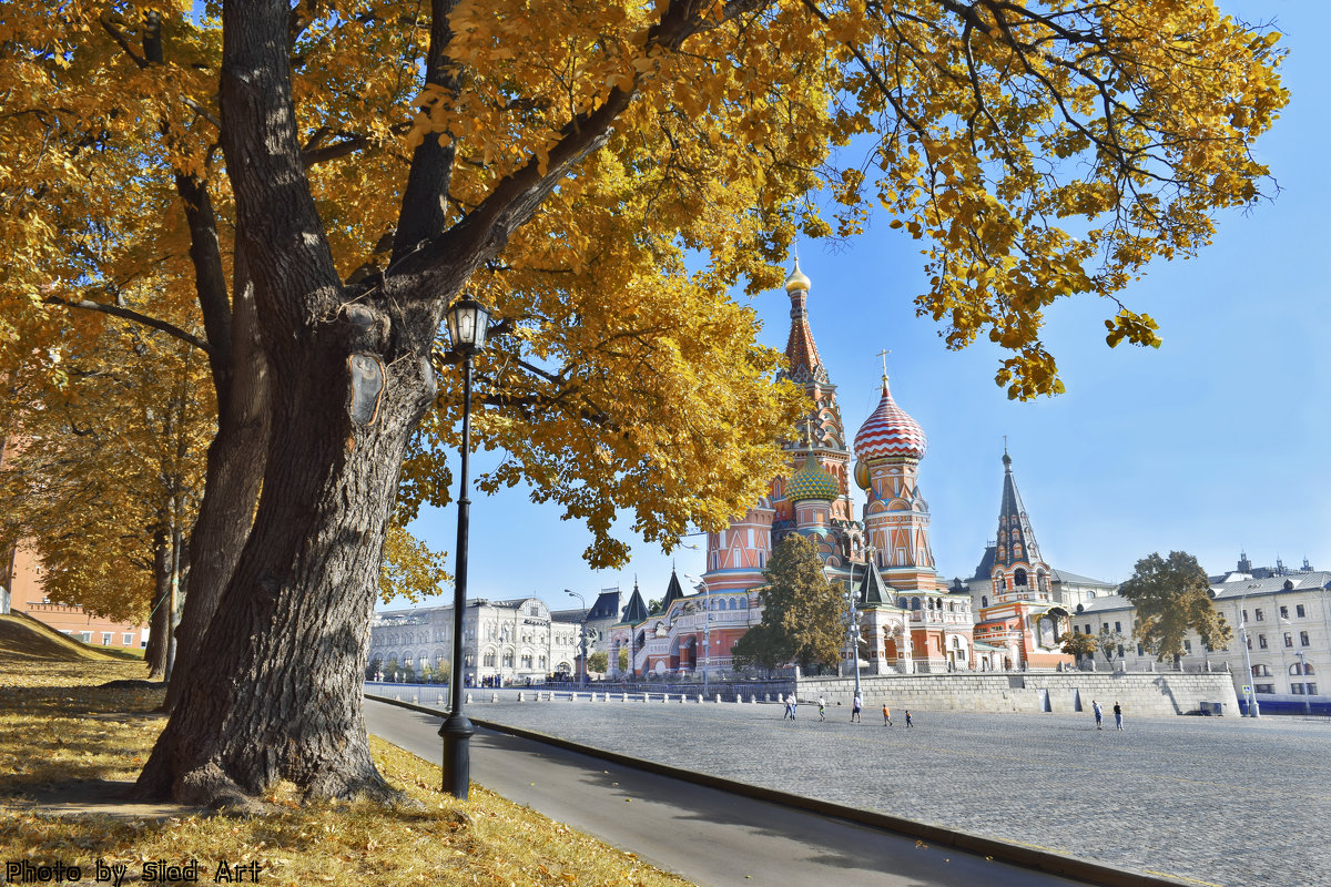 МОСКВА - Sied Art