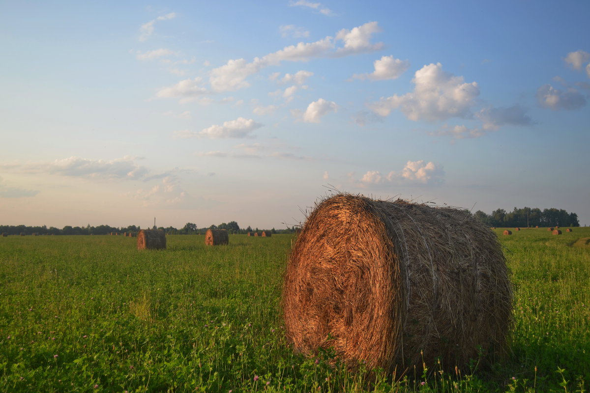 ИЮЛЬСКИЙ ВЕЧЕР - Светлана 