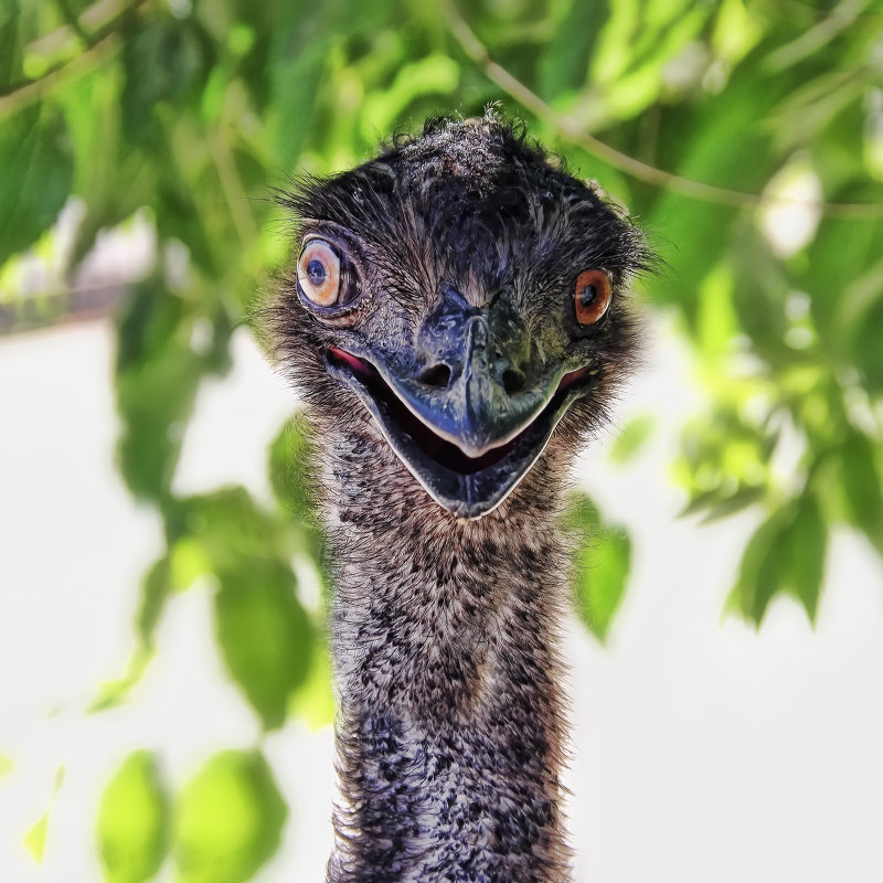 Инопланетянин... - Вячеслав Семененко Инопланетянин... - Вячеслав Семененко