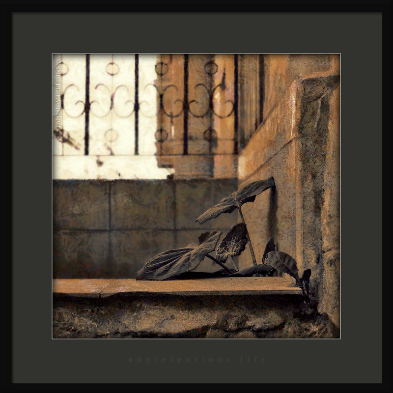 Неприхотливая жизнь_3 - Станислав Лебединский Неприхотливая жизнь_3 - Станислав Лебединский