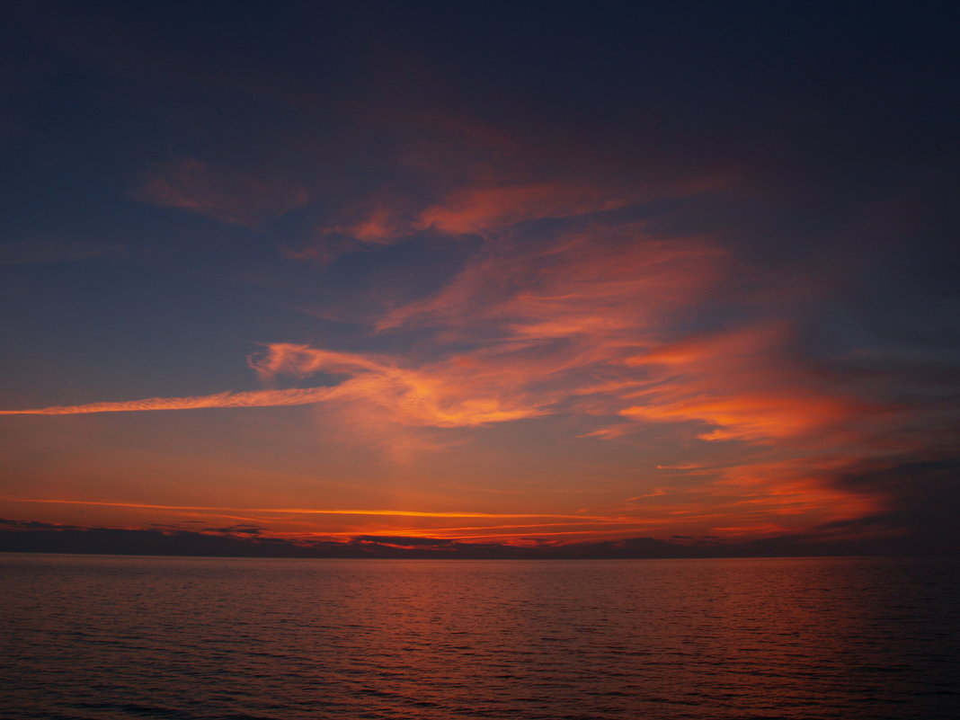 --------- - Лёха Дидус