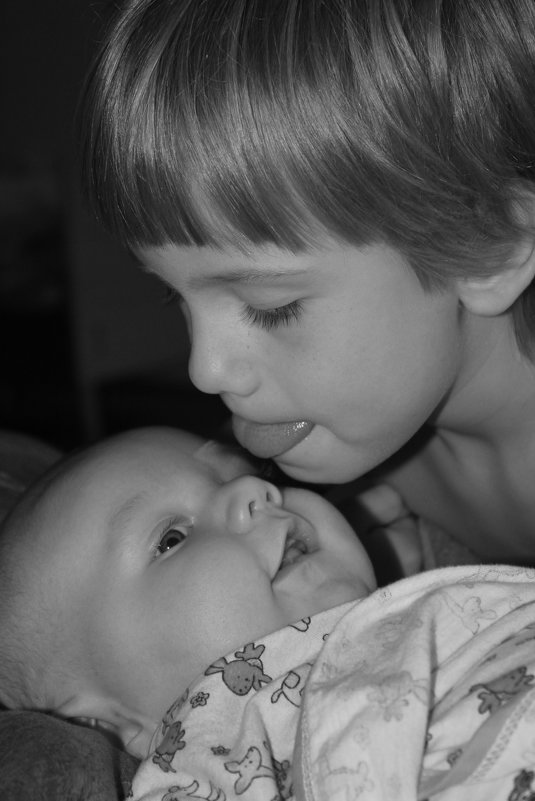 Вкусный братик - Ольга Пусова Вкусный братик - Ольга Пусова