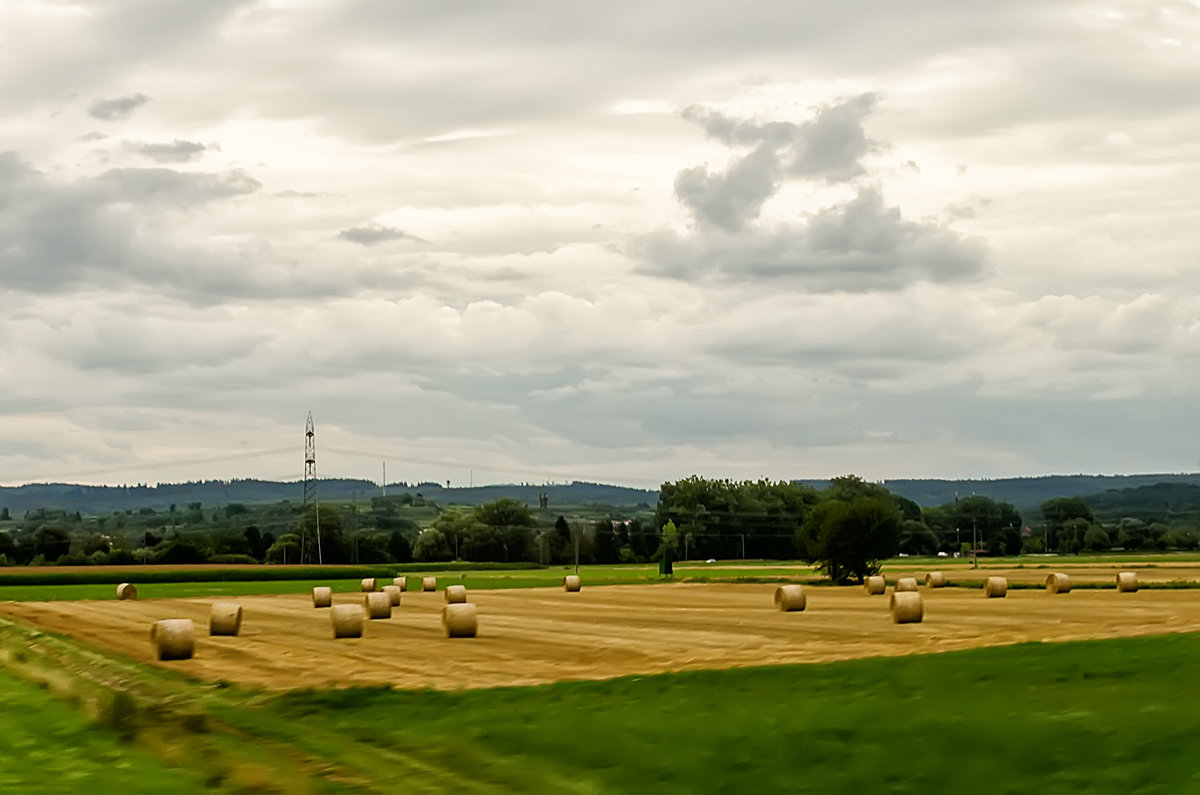 *** - Владимир Кирпа 