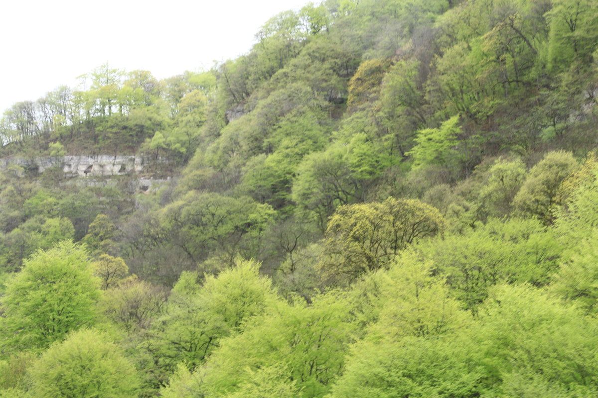 Чегем - Юрий Бачурин