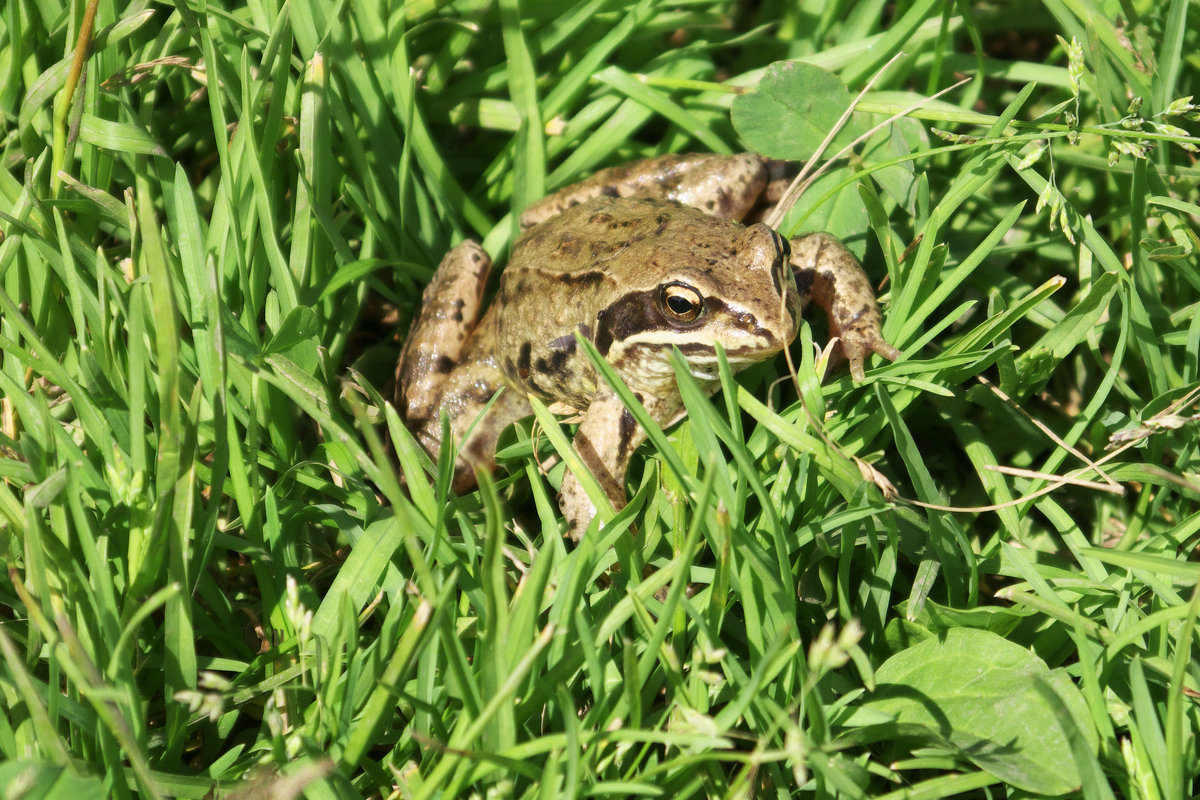 в ожидании принца... - Галина Татьяныч в ожидании принца... - Галина Татьяныч