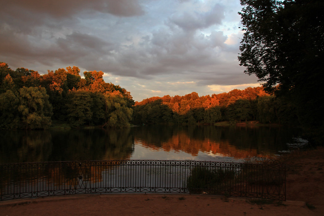 Вечер в парке Кузьминки-Люблино - Анна Букина Вечер в парке Кузьминки-Люблино - Анна Букина