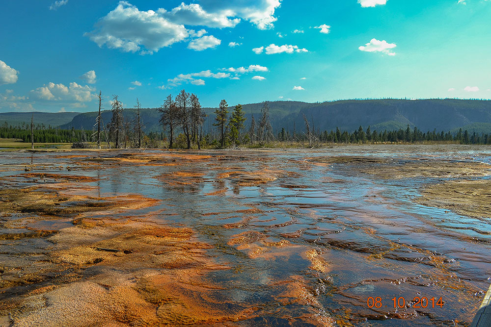 Yellowstone National Park. - Gene Brumer