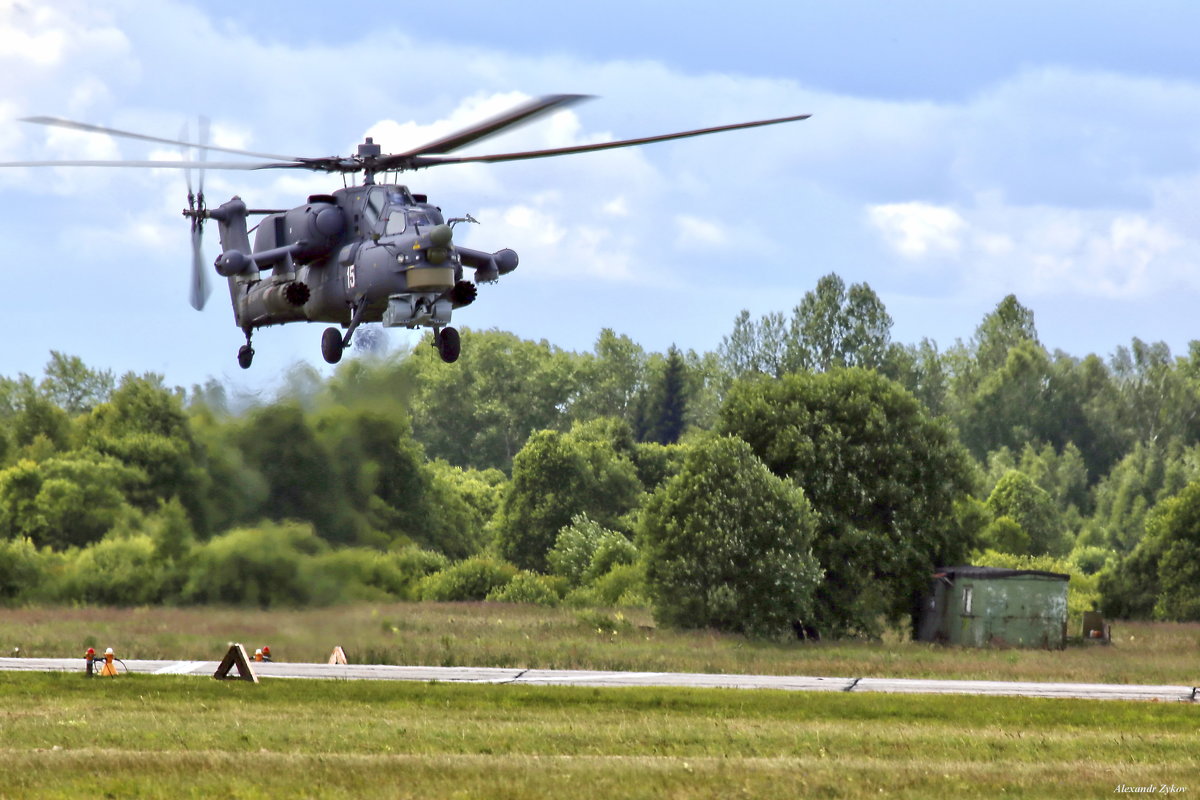 ... и крайне удачно сел... - Alexandr Zykov ... и крайне удачно сел... - Alexandr Zykov
