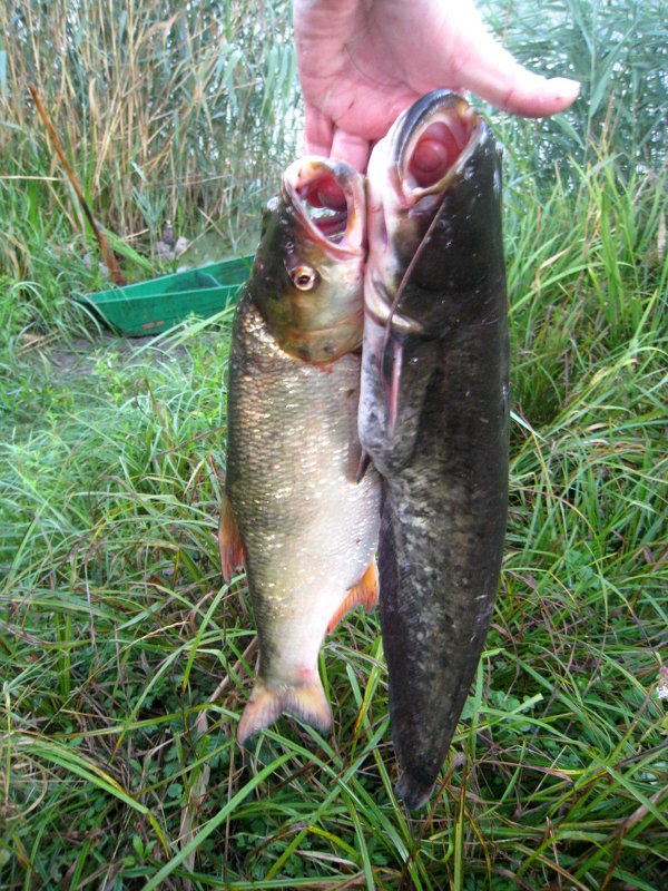 Удачка! - Timtano4ka Татьяна