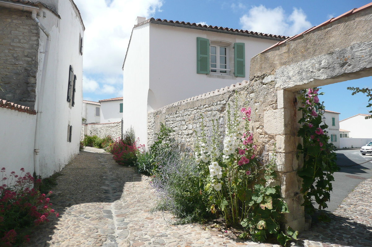 Il Do Ré - Natalia Mixa 