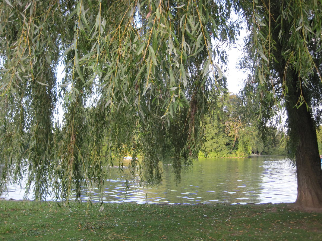 Германия - Ольга Теткина Германия - Ольга Теткина