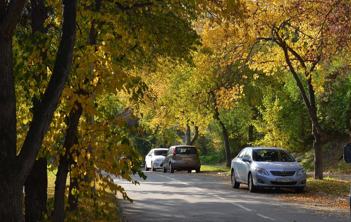 Autumn in the city - Dmitry Ozersky