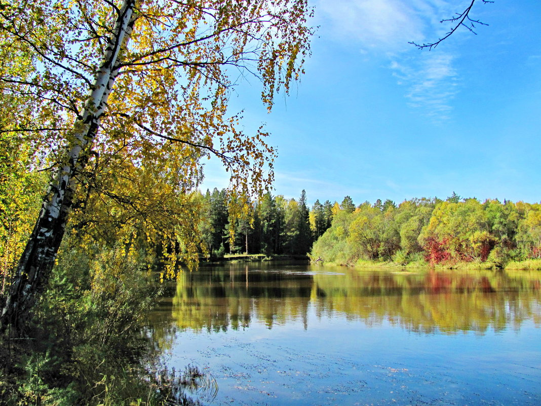 Золотая осень - Yury Kuzmič