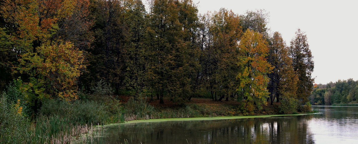 В бухте Рюминки (панорама) - Александр Буянов