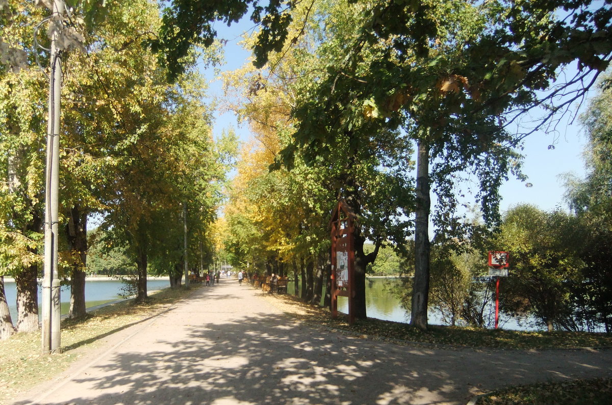 В осеннем парке - Наталья Александрова