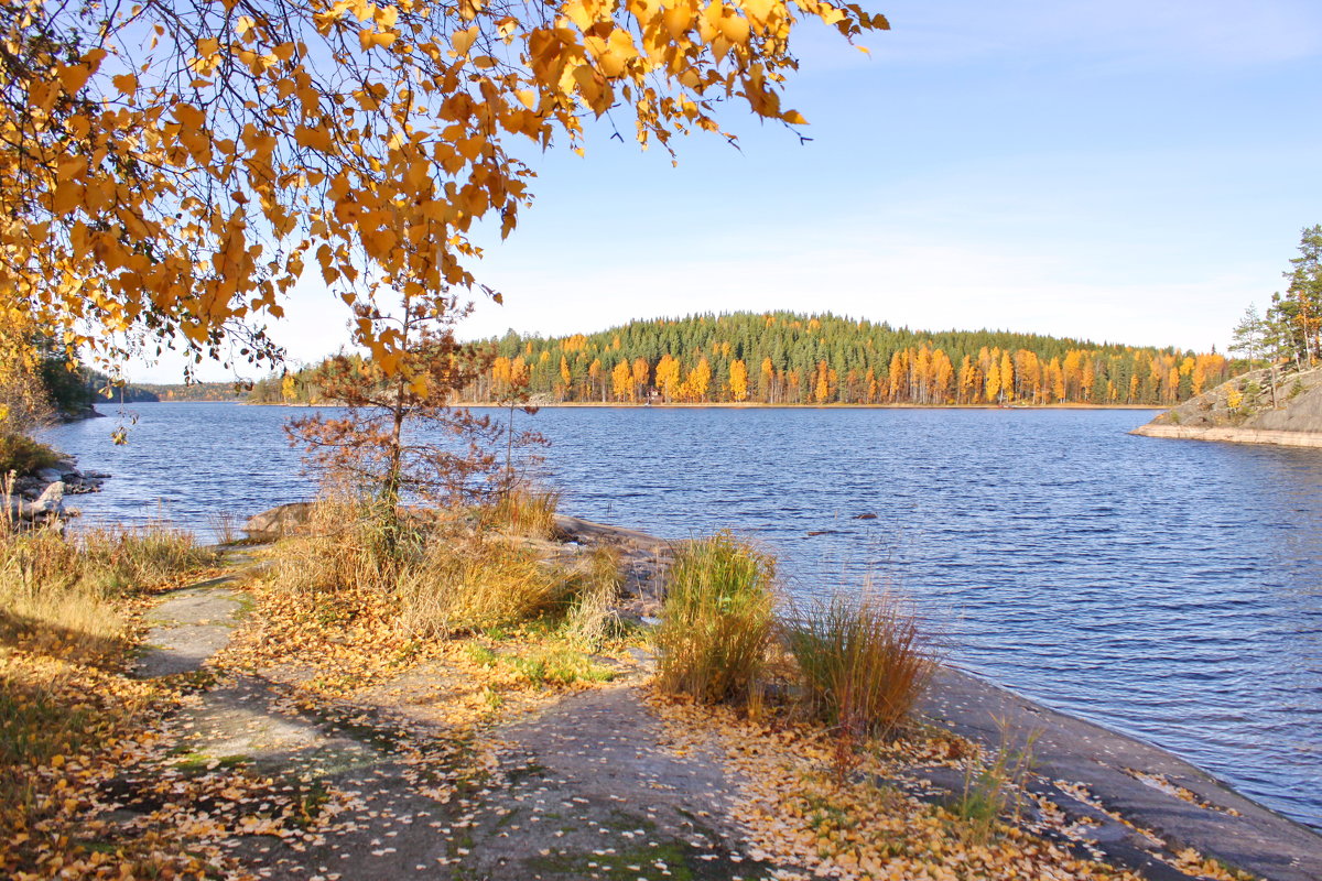 Золотая осень - Валентина 