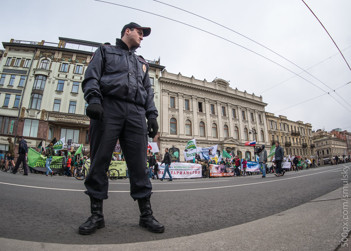 Первомайская демонстрация.3 - Антон Смульский