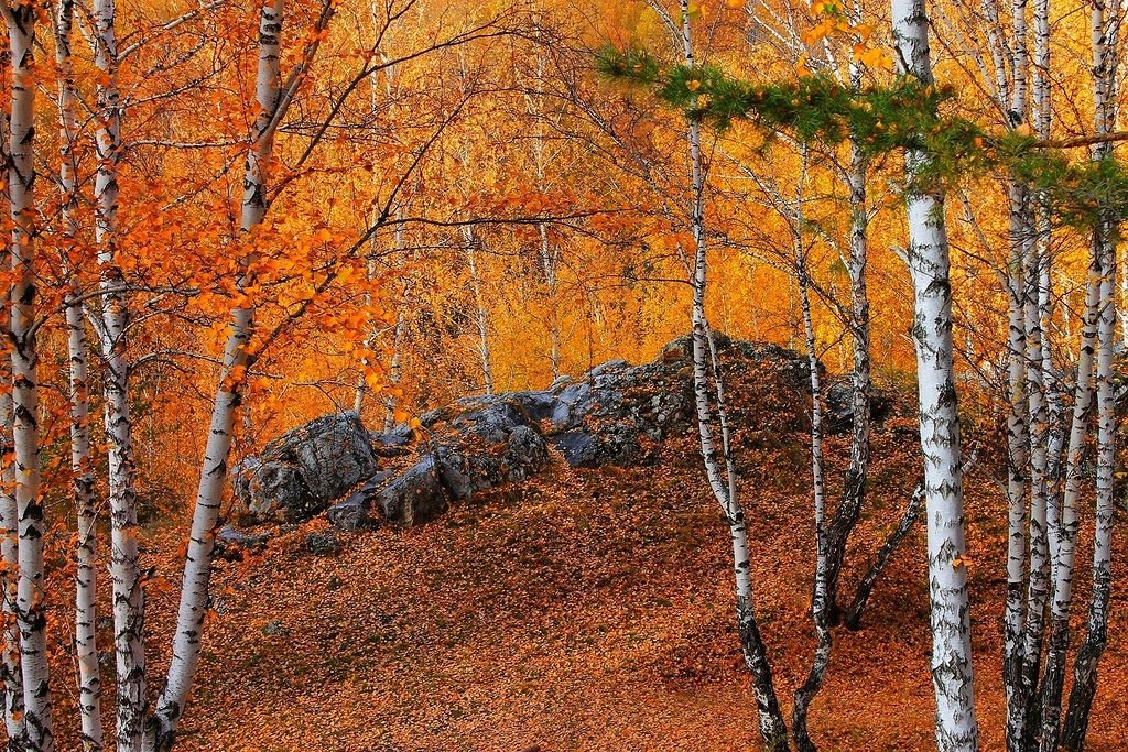 Осенняя СКАЗКА - Галина Стрельченя