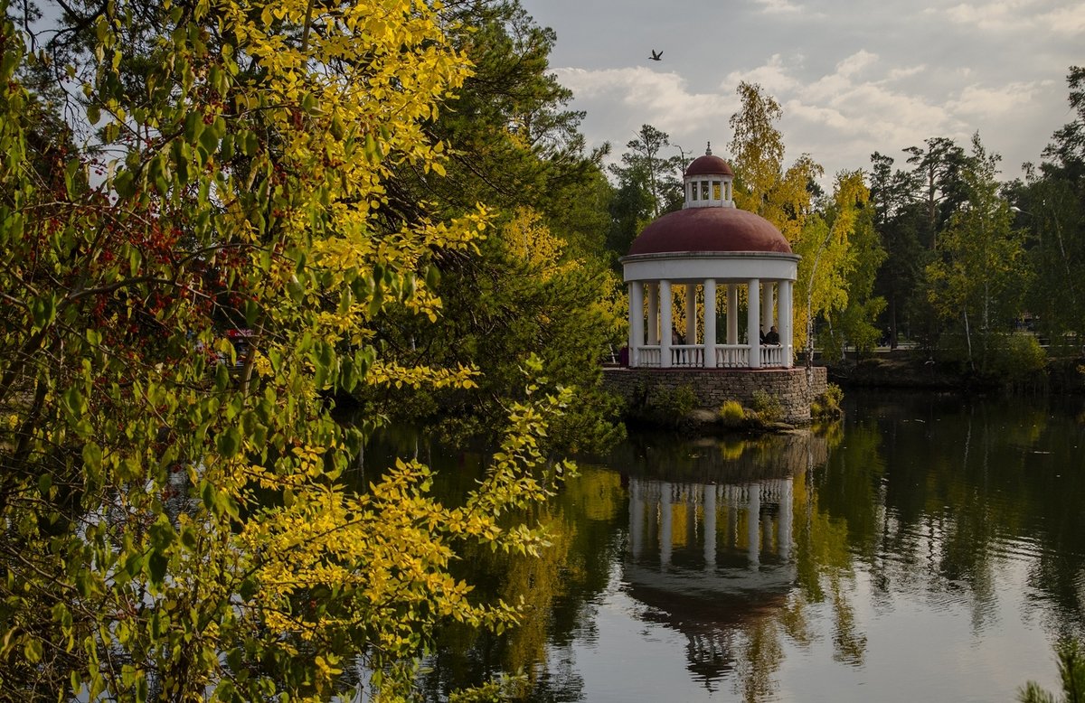 Autumn on the pond - Dmitry Ozersky