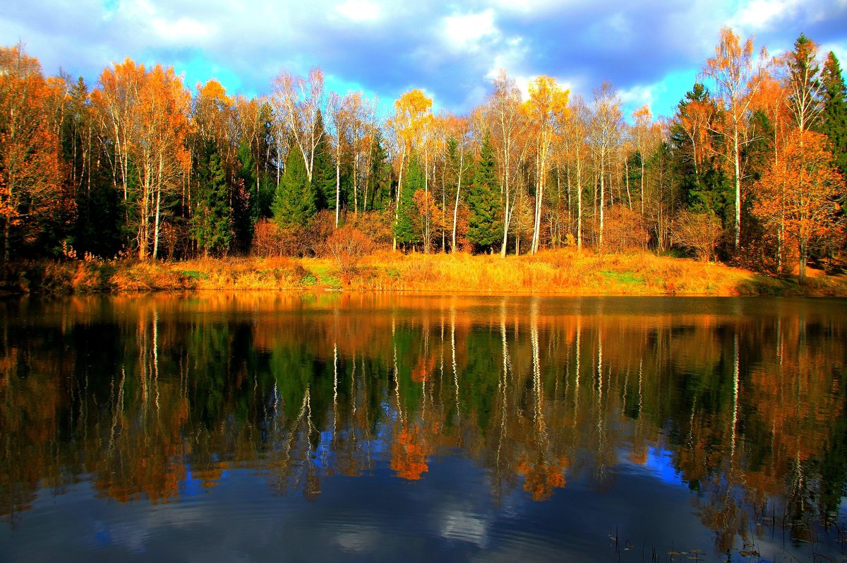 Осень - Тамара 