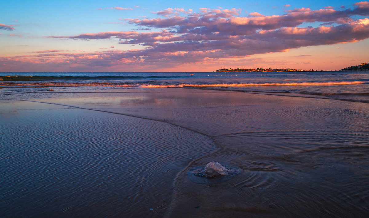 медуза - Vitalij P медуза - Vitalij P