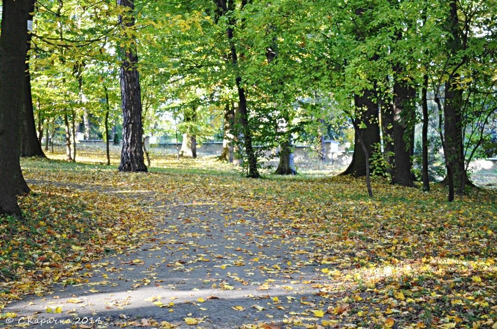 Митрополичий парк - Степан Карачко