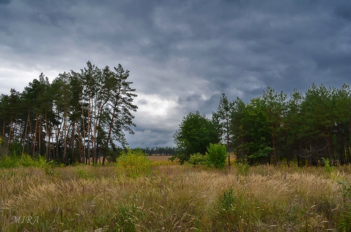 Непогода. - *MIRA* ** Непогода. - *MIRA* **