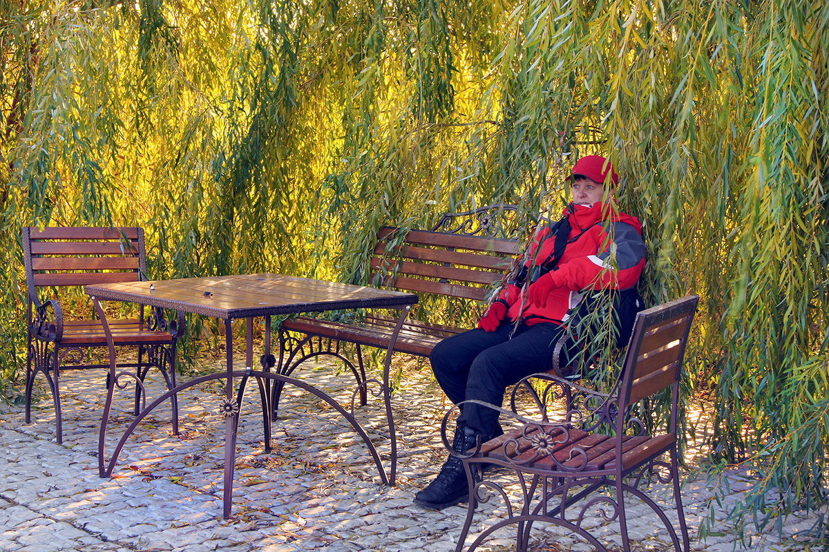 Зайду под сень цветущих ив... - Ирина Нафаня