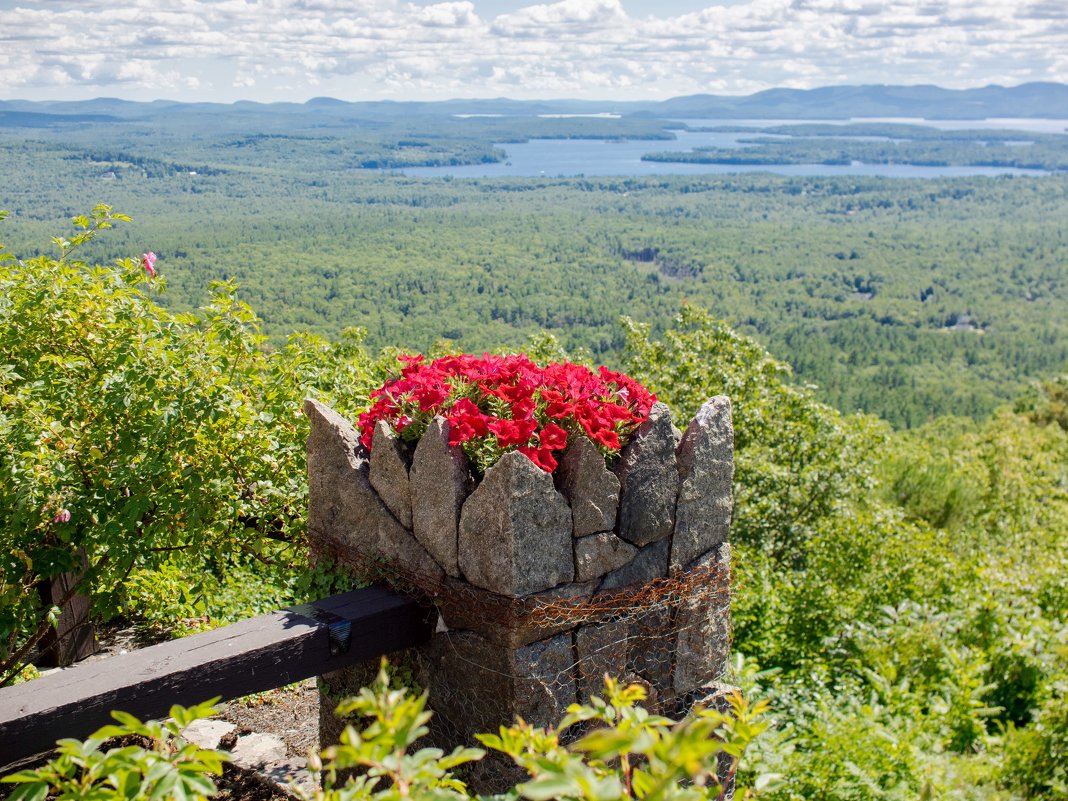 New Hampshire - Vadim Raskin