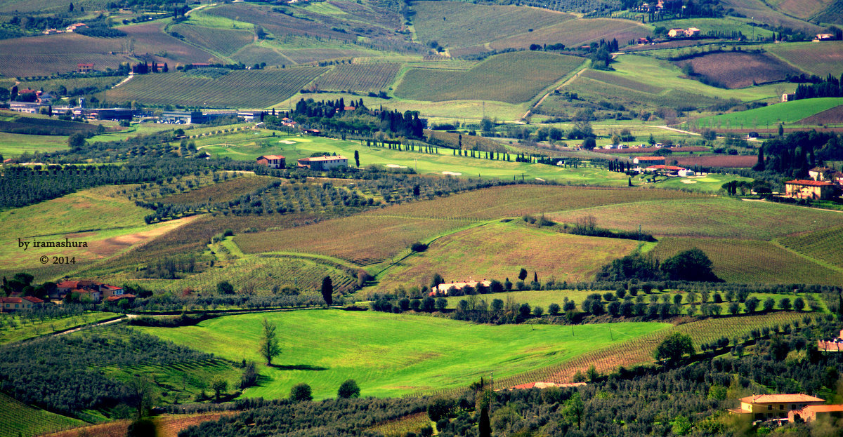 COMUNE DI VINCI, TOSCANA, 22-10-2014 - ira mashura