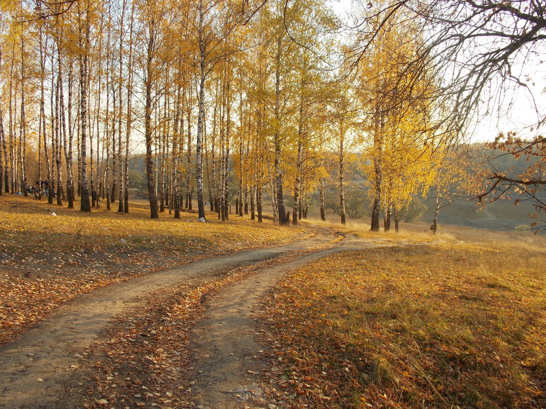 Дорога в осень - MarinaKiseleva2014 