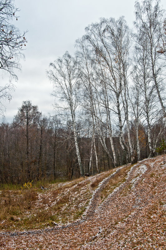 ... - Владимир Новиков