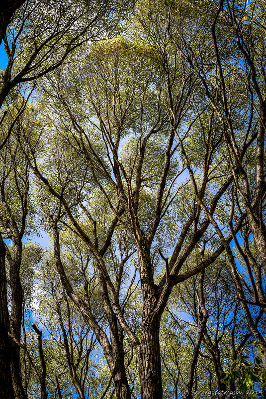 городской октябрь - Sergey Yatmasov городской октябрь - Sergey Yatmasov