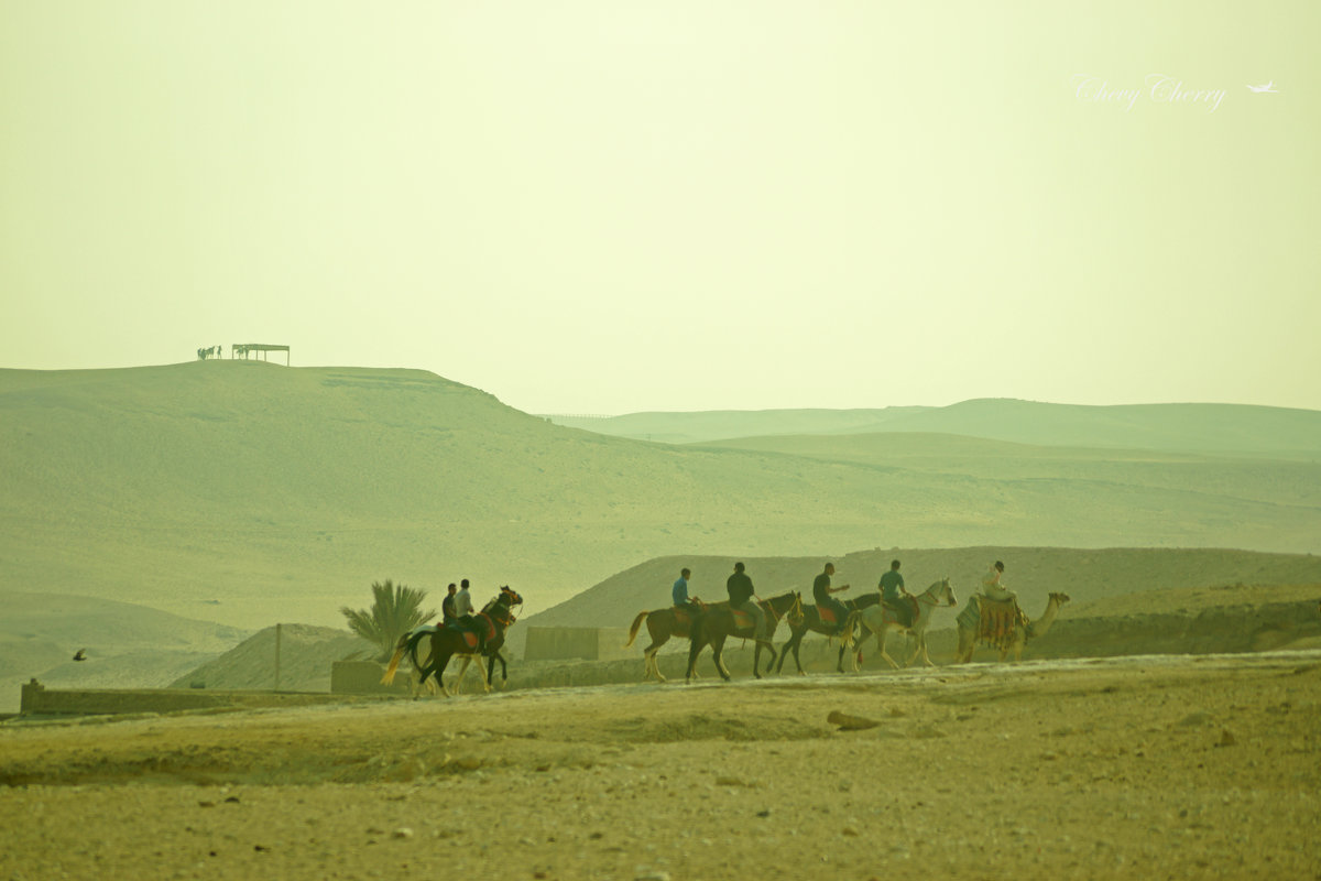 обитаемая пустыня - Алёна ChevyCherry