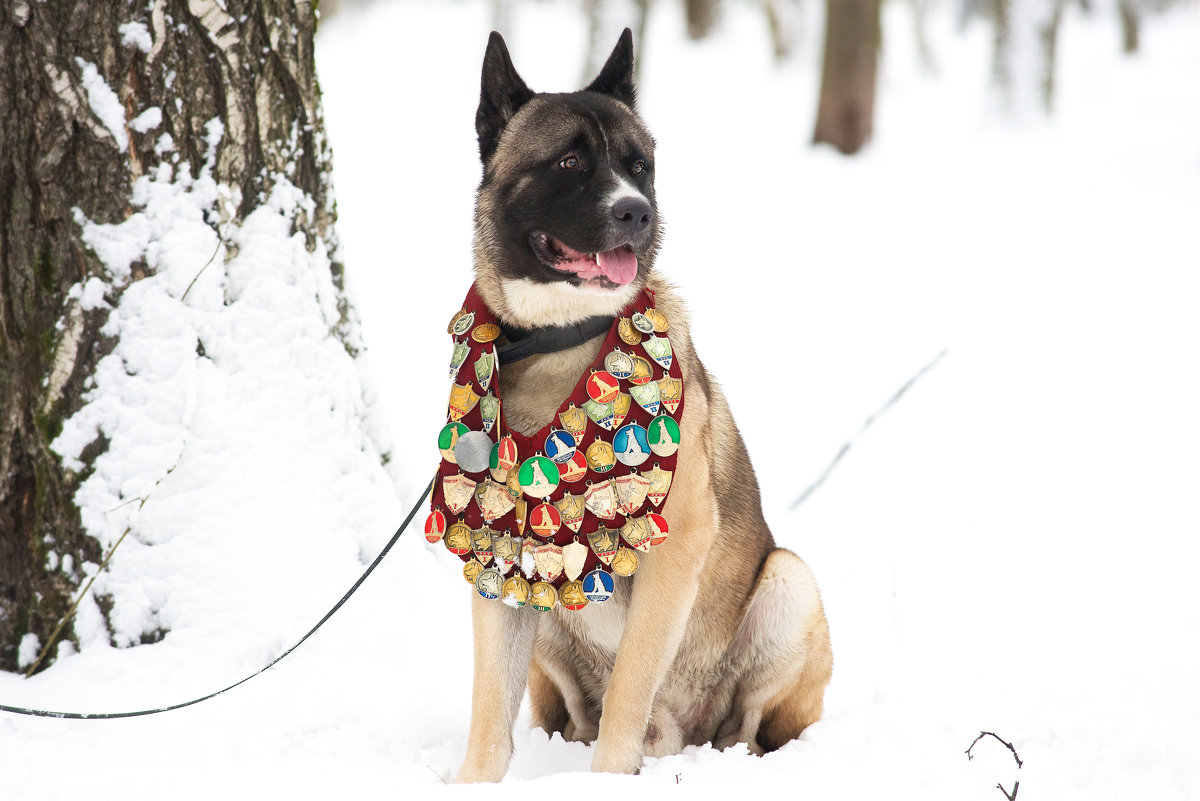 .... - Николай .... - Николай