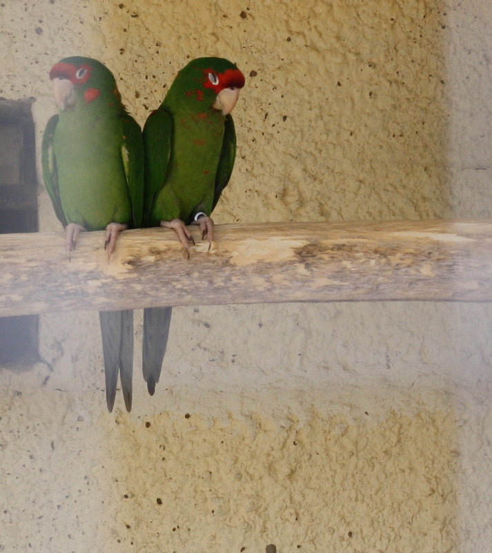 ... - Yulia Sherstyuk ... - Yulia Sherstyuk