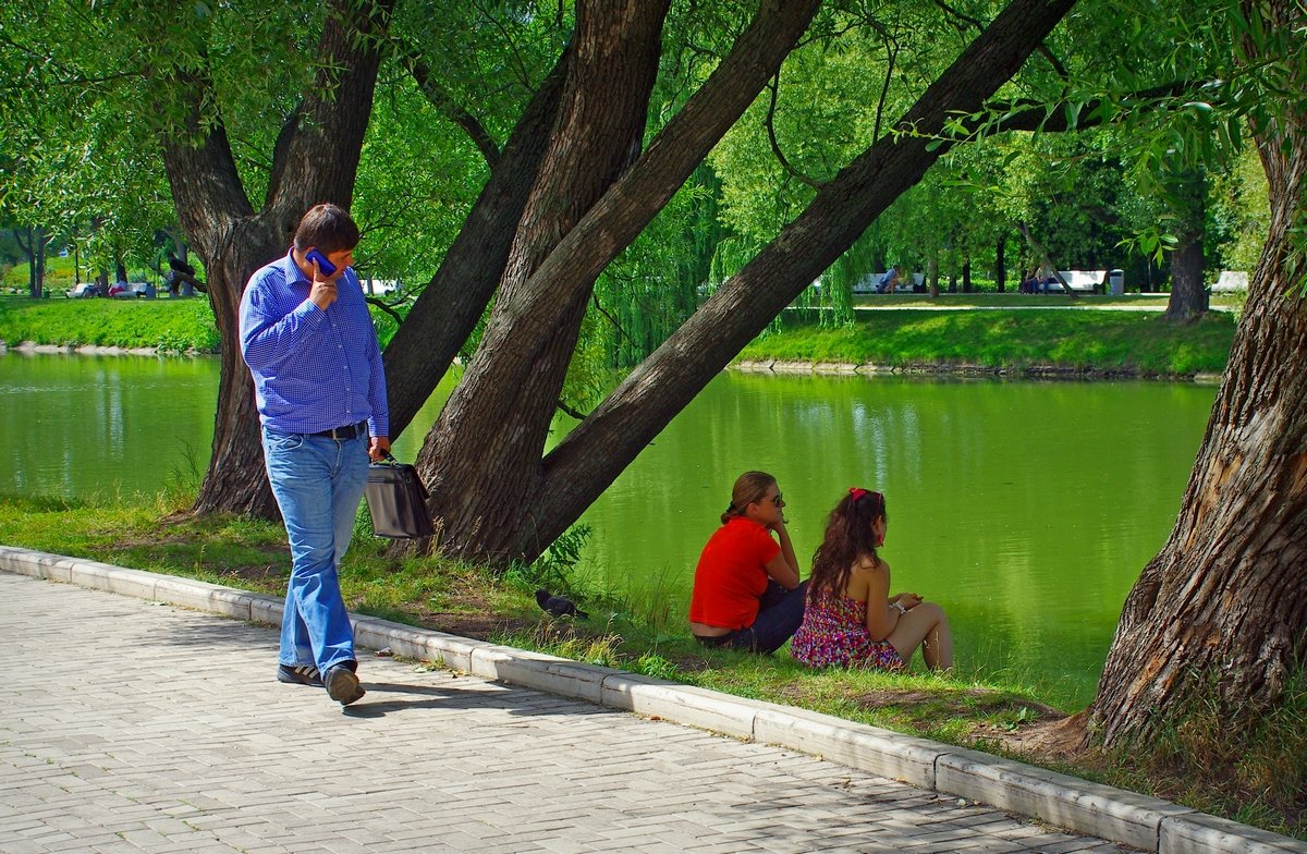 На пруду - Михаил Рогожин