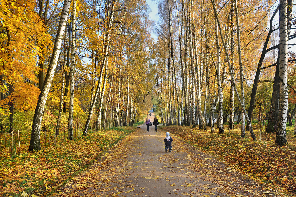 Золотая осень в Ясной Поляне. - Горбушина Нина 