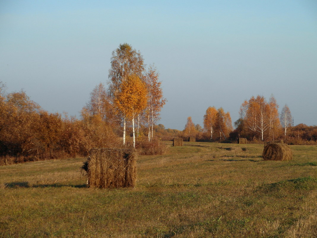 Рыжая-рыжая осень. - nadyasilyuk Вознюк