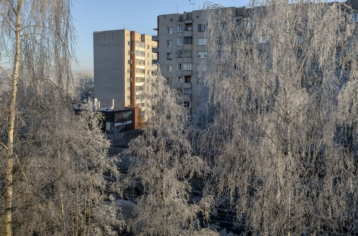 На деревьях иней серебрится... - Елена 