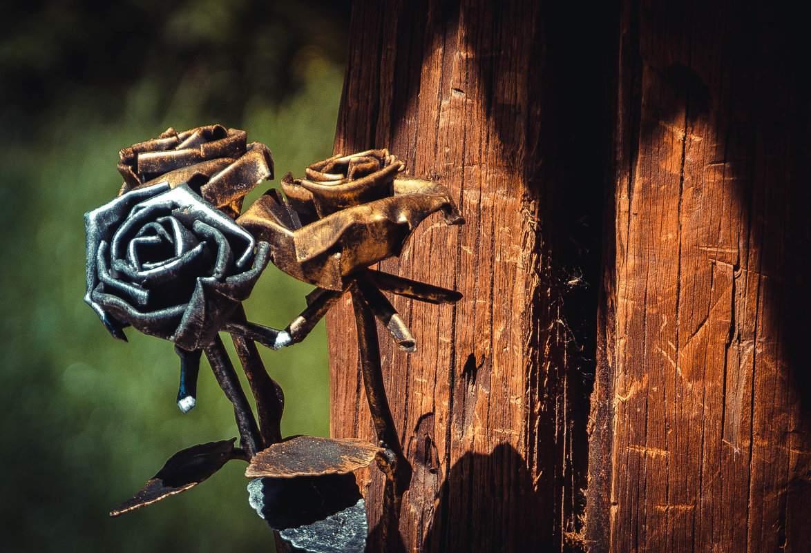 ))) - Ирина Виниченко