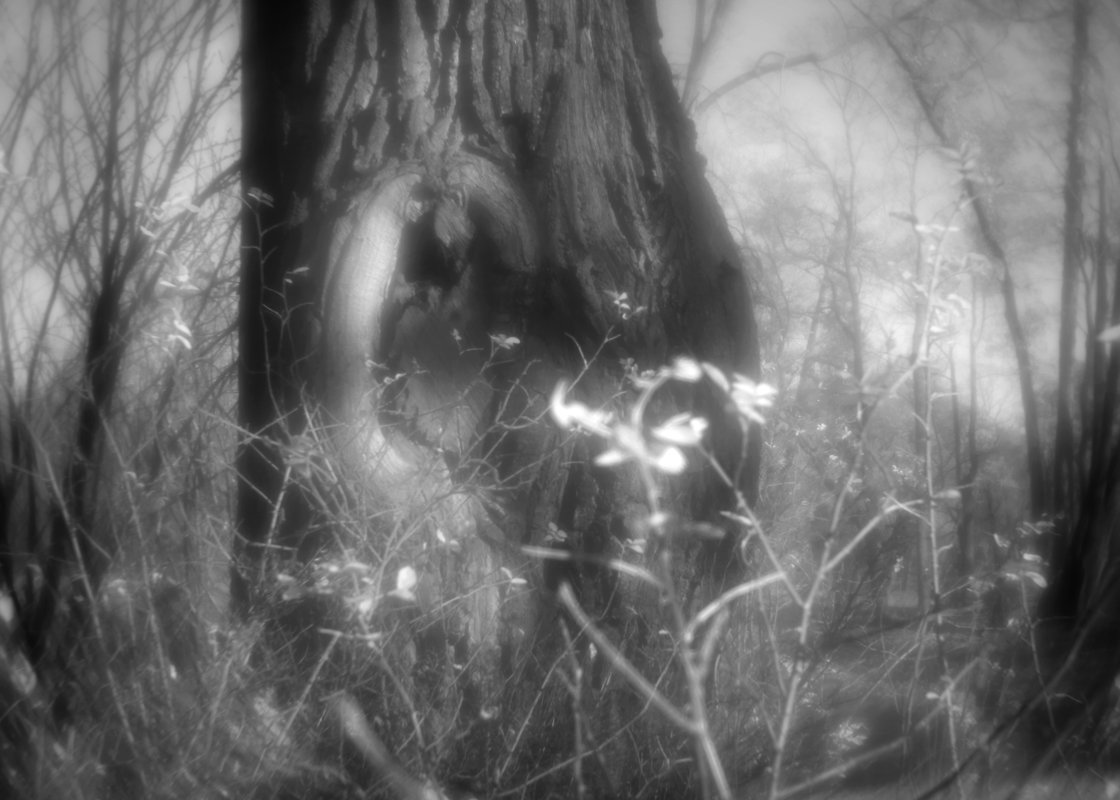 *** - Виктория Павлова *** - Виктория Павлова